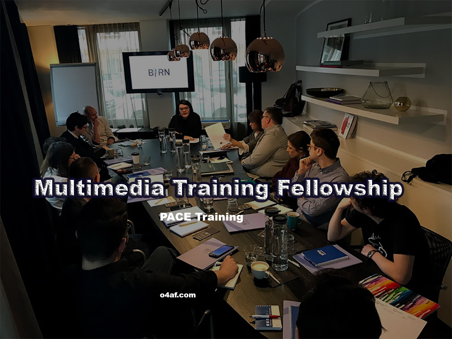 Multimedia Training Fellowship